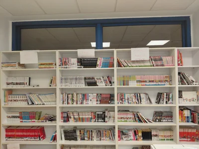La sección de Manga y Cómics llena varias estanterías de nuestra biblioteca.